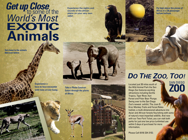 San Diego Zoo's Wild Animal Park Brochure (trifold)
